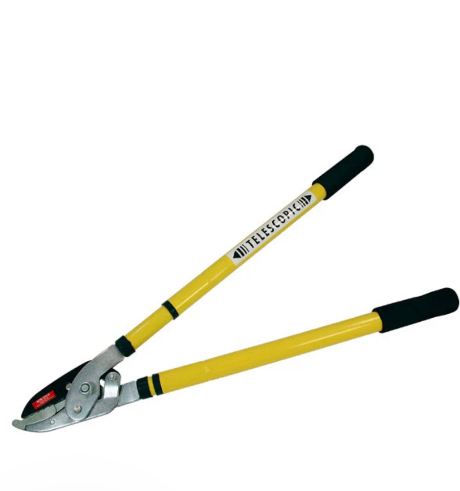 CT3461 - RATCHET TELESCOPIC TREE LOPPER