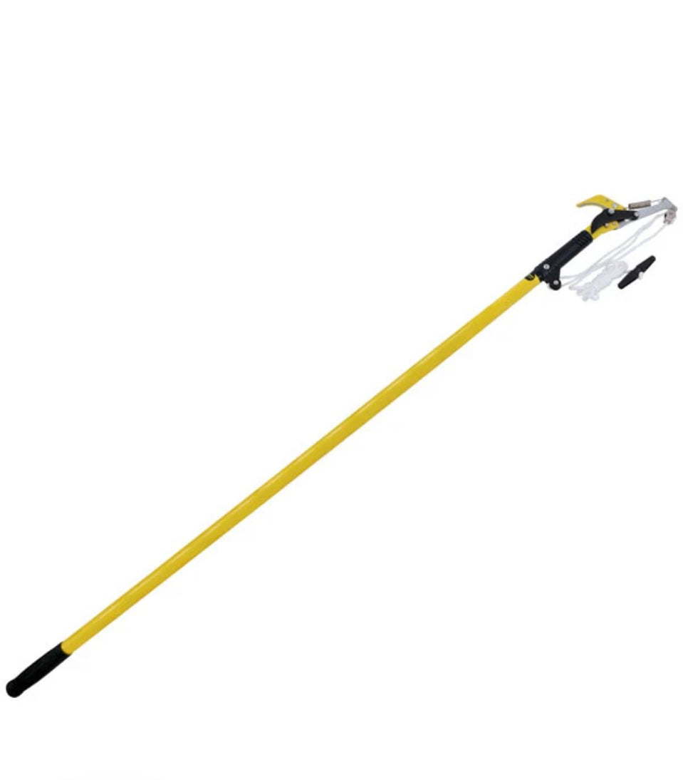 CT3067 - TREE LOPPER WITH PRUNING SAW